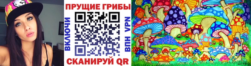 Псилоцибиновые грибы Magic Shrooms  blacksprut рабочий сайт  Карачаевск 